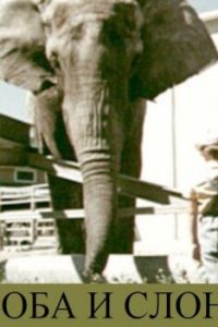   Боба и слон (1972)